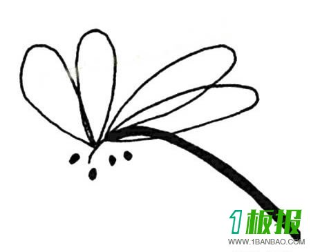 简单的蜻蜓简笔画图片