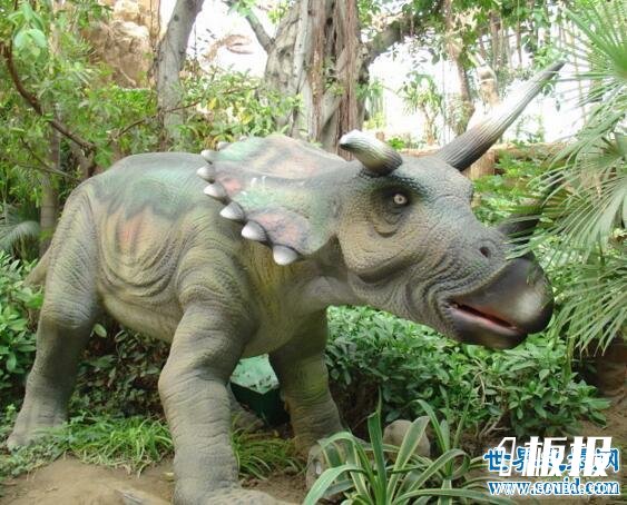 地球最强的食草恐龙，三角龙(霸王龙也需退避三舍)