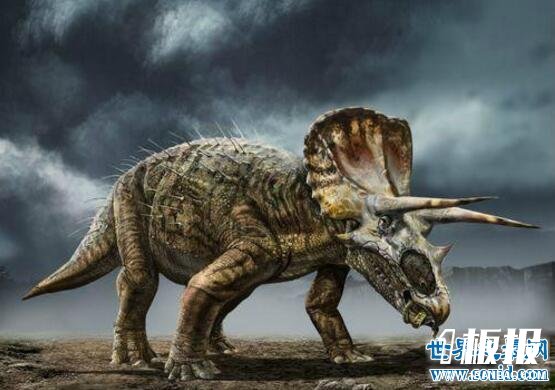 地球最强的食草恐龙，三角龙(霸王龙也需退避三舍)