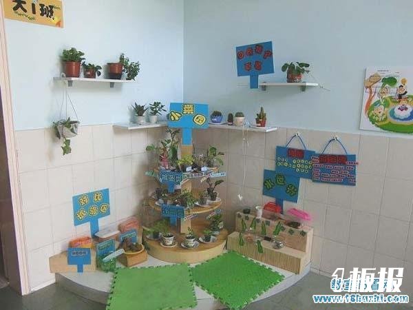 幼儿园大班植物区角布置图片