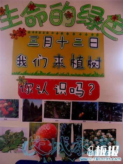 幼儿园3.12植树节主题墙设计