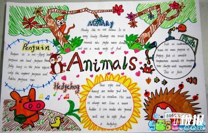 五年级英语手抄报欣赏-Animals