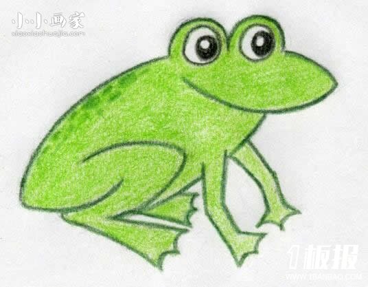 可爱小青蛙蜡笔画作品图片- www.yiyiyaya.cn