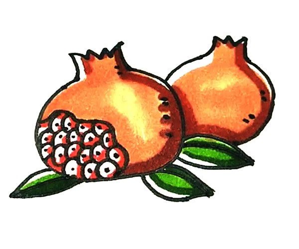 水果石榴简笔画的画法6