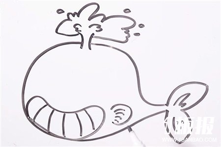卡通鲸鱼简笔画的画法5