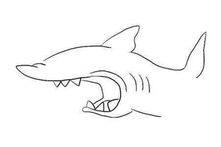 凶狠的鲨鱼简笔画4