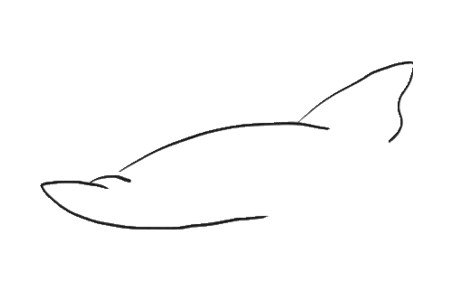凶狠的鲨鱼简笔画1