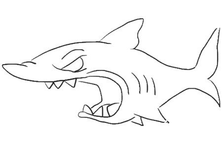凶狠的鲨鱼简笔画6