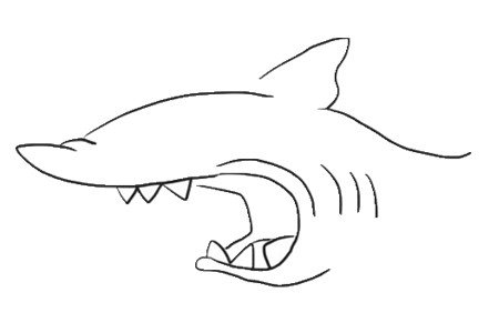 凶狠的鲨鱼简笔画3