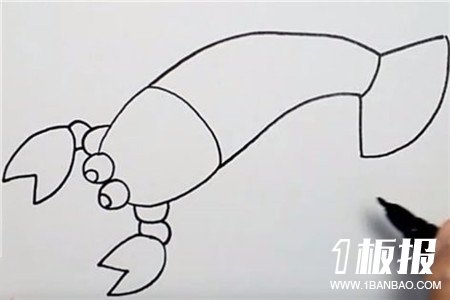 彩色虾子简笔画的画法4
