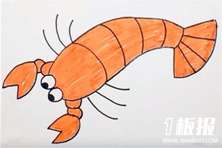 彩色虾子简笔画的画法6