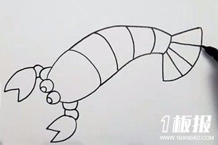彩色虾子简笔画的画法5