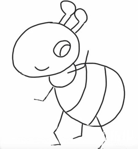 可爱蚂蚁简笔画步骤6