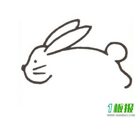 幼儿小兔子彩色简笔画3