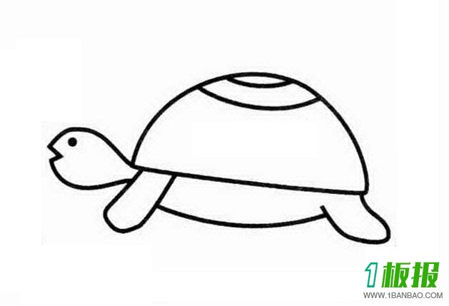 小乌龟简笔画3