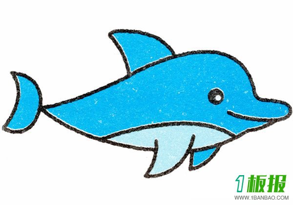 海豚简笔画步骤6