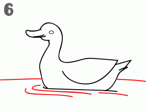 鸭子游泳简笔画6