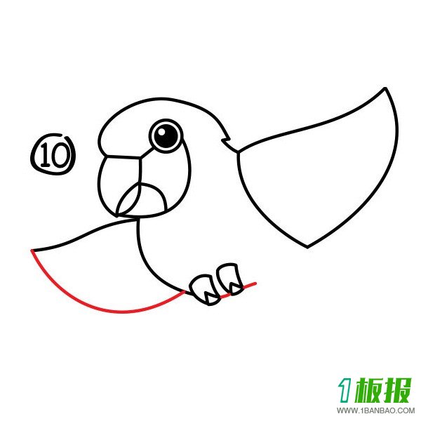 卡通鹦鹉可爱简笔画10