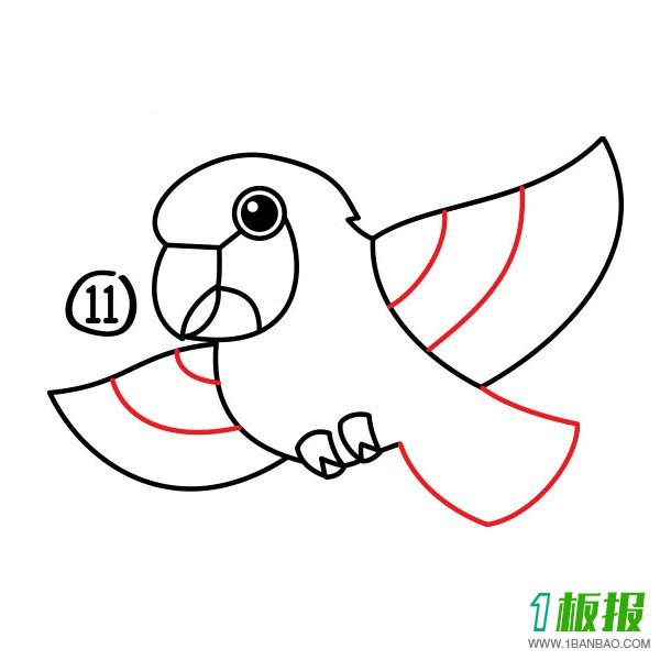卡通鹦鹉可爱简笔画11