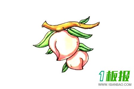 水果桃子彩色简笔画的画法4