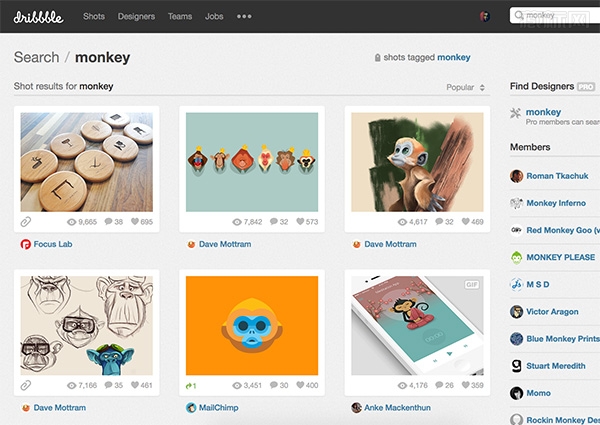 在 Dribbble 上搜索有关猴子的图片